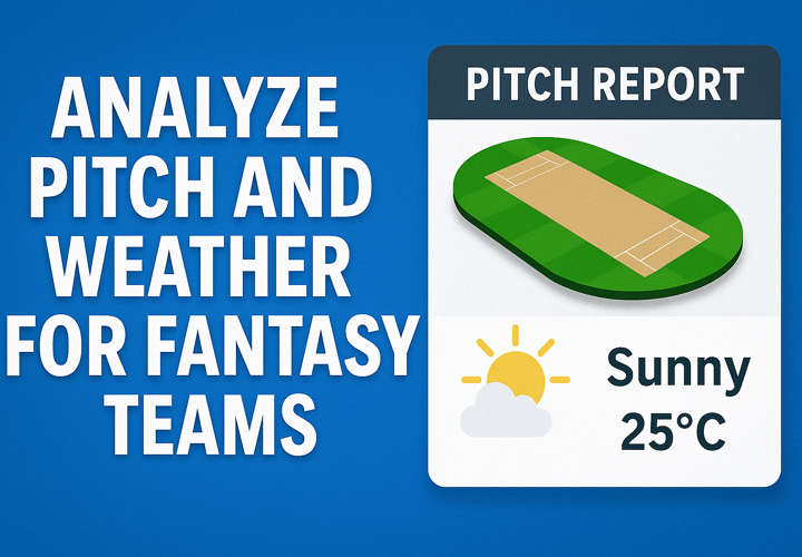 Analyze pitch and weather for fantasy teams – fantasy cricket strategy visual